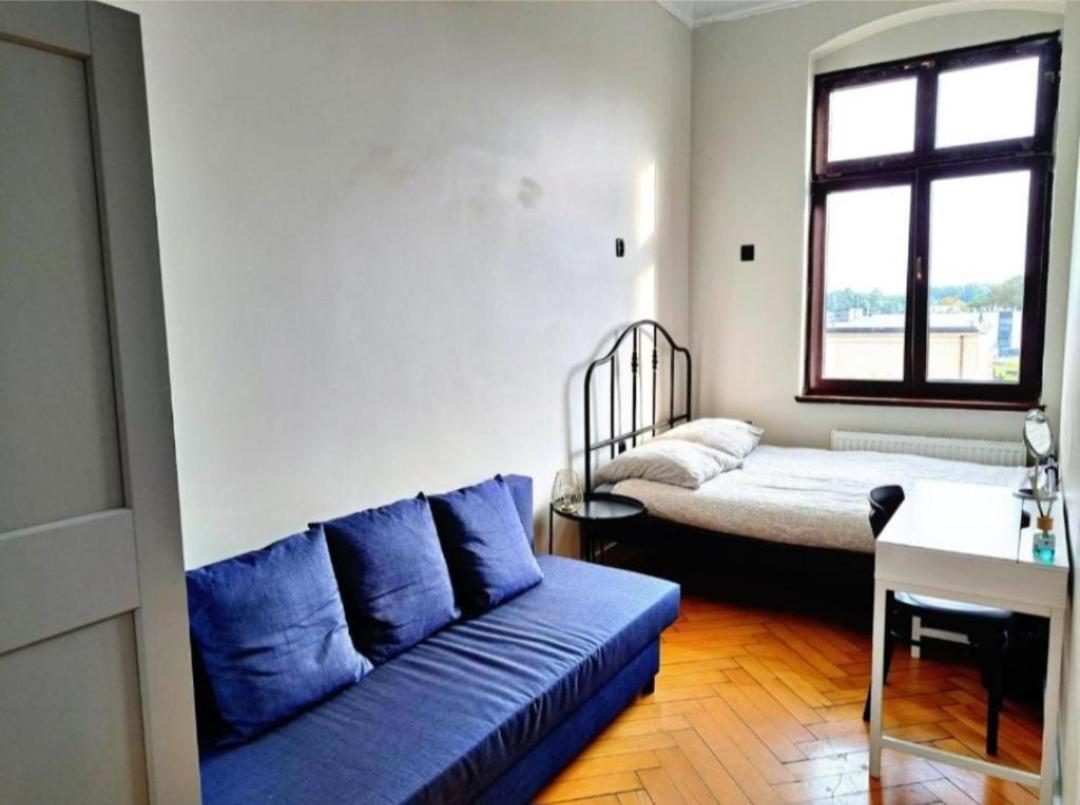 Kopernik Premium